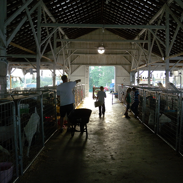 Washington Co Fairgrounds Barns