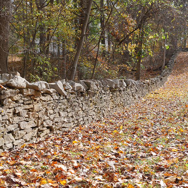 Dry Stone Walls